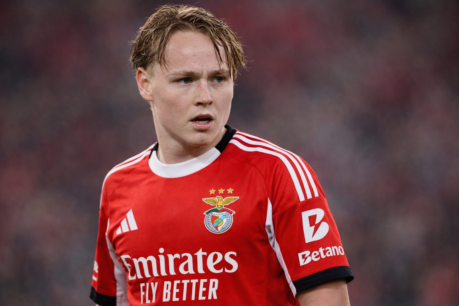 Andreas Schjelderup bij Benfica