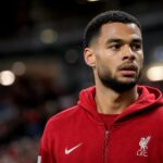 Cody Gakpo in Liverpool-context tijdens transfergeruchten rond Tottenham