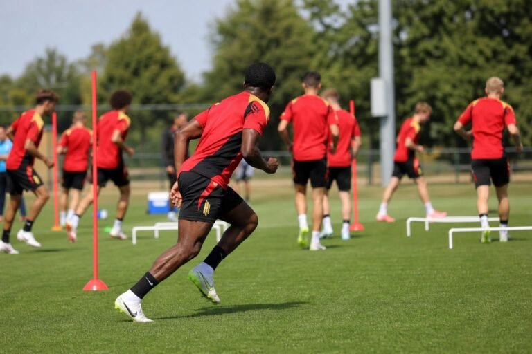 Rode Duivels bereiden zich tijdens een warme training voor op de WK-opener tegen Egypte