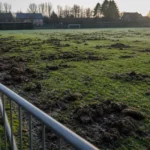Omgeploegd voetbalveld na everzwijnenschade bij Turkse FC en Stal Sport