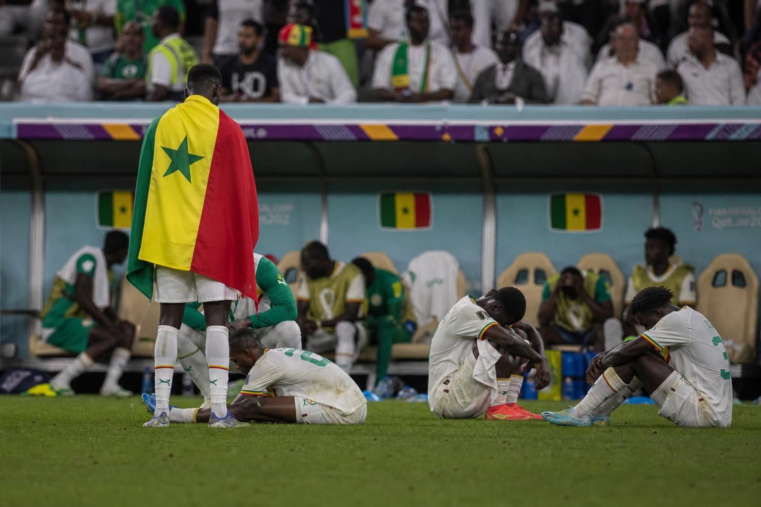 Gefrustreerde Senegal-context na een late WK-uitschakeling tegen de Rode Duivels