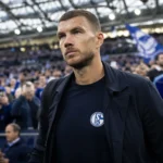 Edin Dzeko in een transfercontext rond Schalke 04