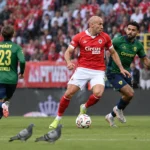 Twee duiven op het gras terwijl spelers van Antwerp en Union verder spelen.