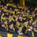 Lierse-supporters met geel-zwarte sjaals in de tribune.