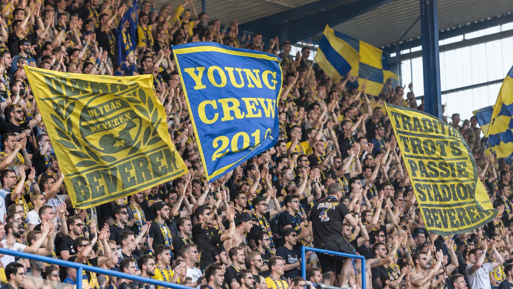Een compacte groep supporters in gele en blauwe kledij zwaait met vlaggen op de tribune.