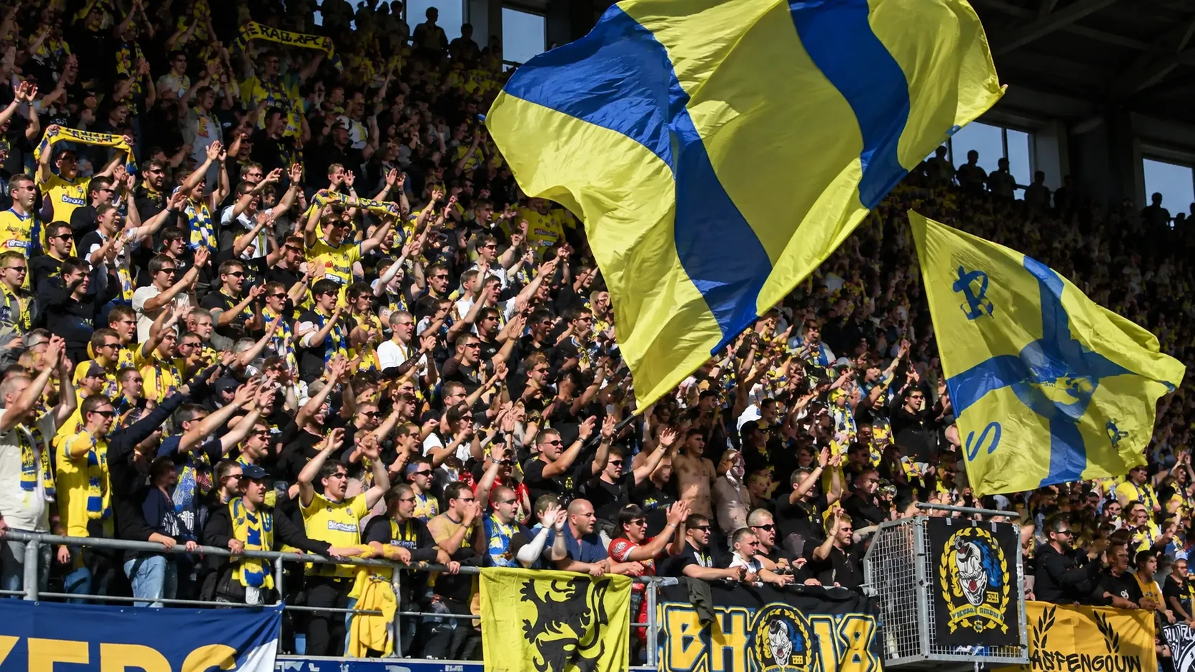 Een volle groep STVV-supporters met geel-blauwe vlaggen en sjaals in de tribune.